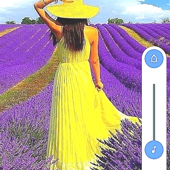 Meet your Posher, Precious - Picture 3 of 3